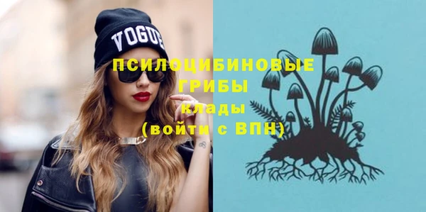 хмурый Балабаново