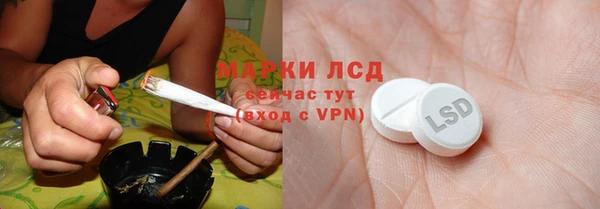 прущие грибы Балахна