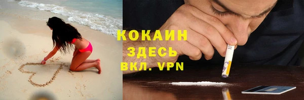 прущие грибы Балахна
