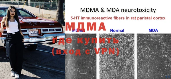 прущие грибы Балахна