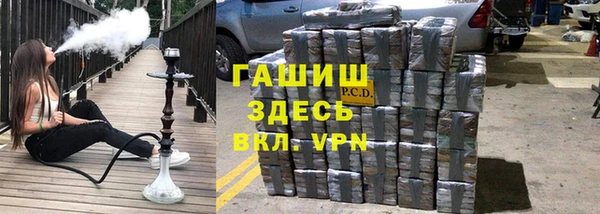 прущие грибы Балахна