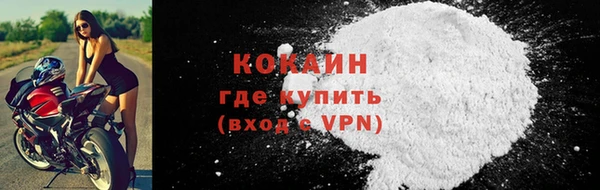 прущие грибы Балахна