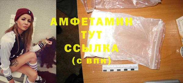 прущие грибы Балахна